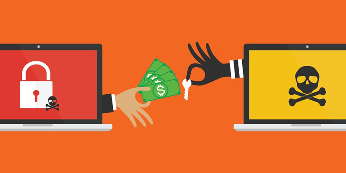 Vì sao tội phạm mạng nhắm vào phụ nữ, người già, sinh viên và người dân nông thôn?- Ảnh 2.