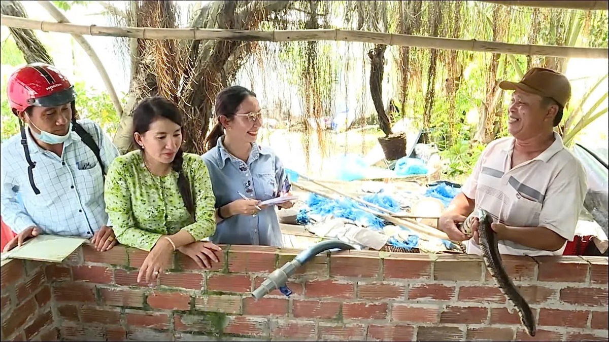 Tôn vinh 45 tác giả, nhóm tác giả đoạt giải báo chí về nông nghiệp, nông dân, nông thôn- Ảnh 11.