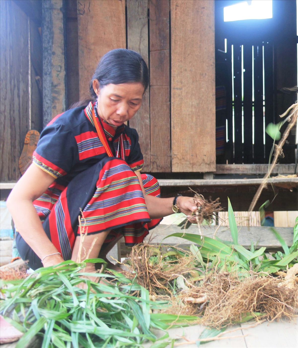 Nữ đại biểu Brâu "hiến kế" giảm nghèo bền vững cho đồng bào dân tộc thiểu số- Ảnh 1.
