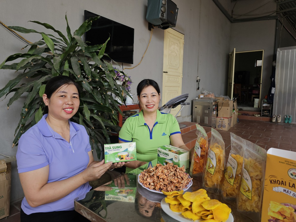 Bắc Ninh: Khơi dậy nội lực, tinh thần hợp tác cùng phát triển kinh tế của người dân- Ảnh 2. Bắc Ninh: Khơi dậy nội lực, tinh thần hợp tác cùng phát triển kinh tế của người dân- Ảnh 2.