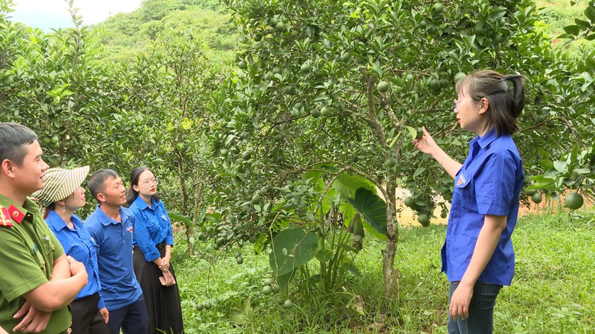 Những người "truyền lửa" thoát nghèo ở Mường Mùn- Ảnh 3.