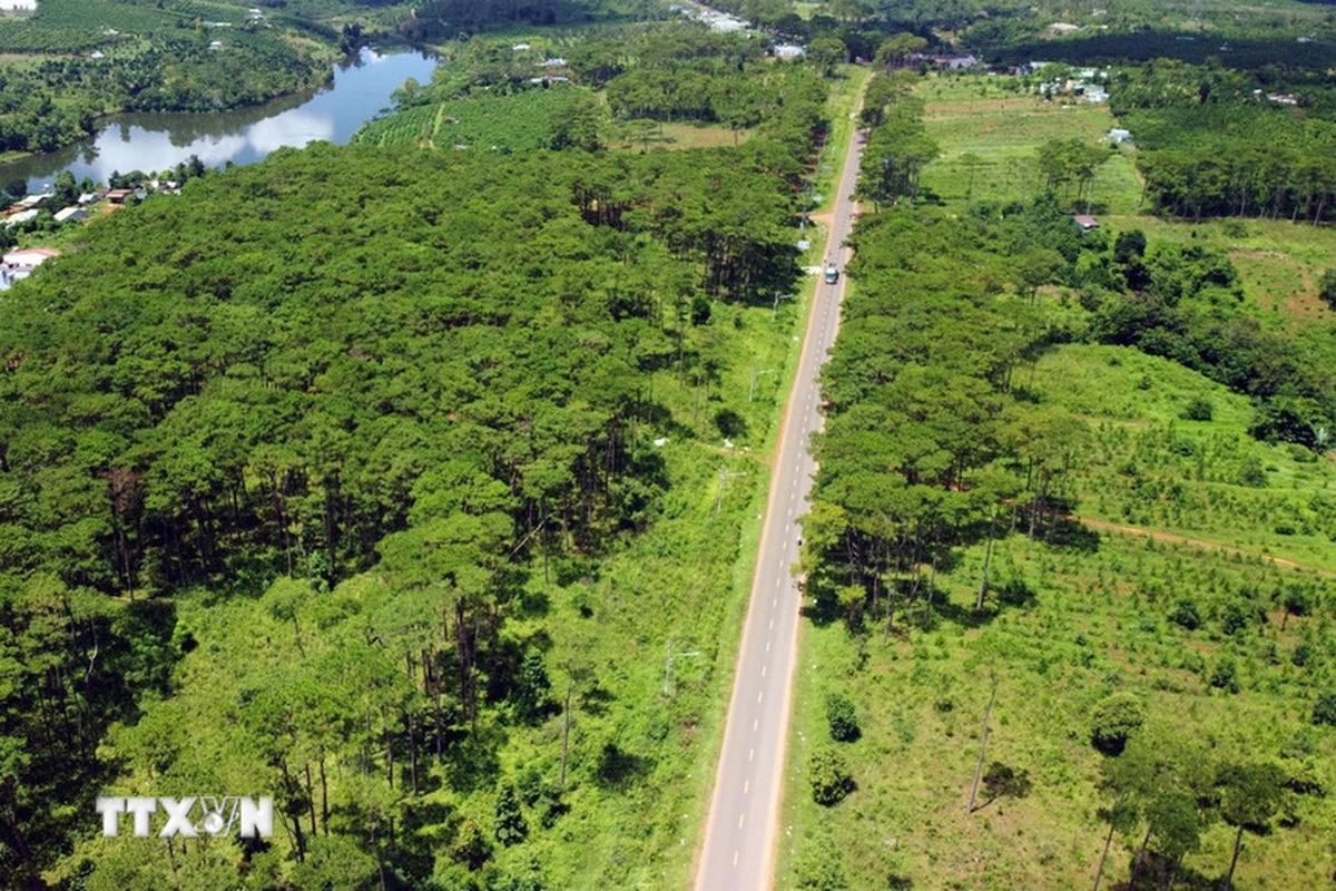 "Việt Nam nên dùng AI theo dõi dữ liệu nước hồ, quỹ đạo bão để cảnh báo lũ trước 48 - 72 giờ"- Ảnh 1.