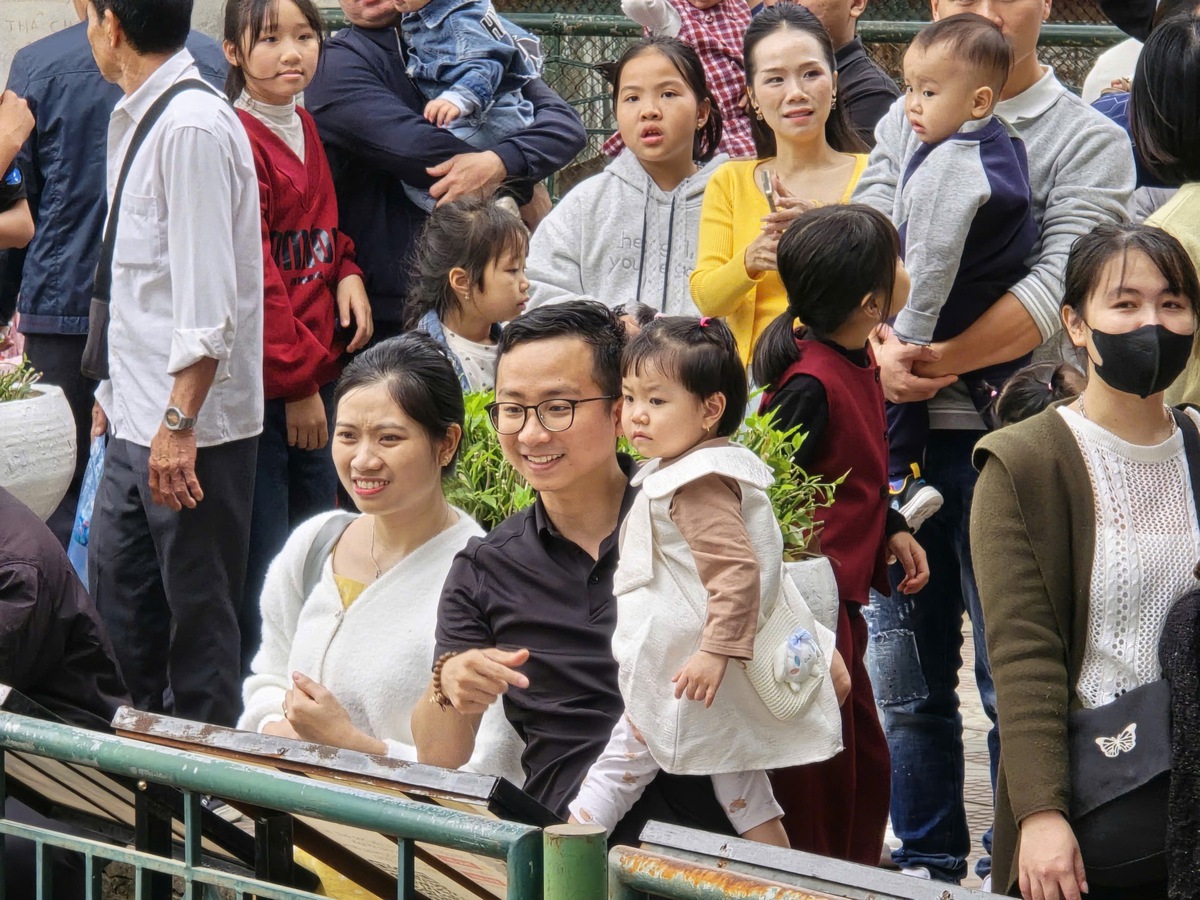 Ngày đầu năm mới, trẻ nhỏ hào hứng cho thú ăn, say mê ngắm voi ở Công viên Thủ Lệ- Ảnh 12. Ngày đầu năm mới, trẻ nhỏ hào hứng cho thú ăn, say mê ngắm voi ở Công viên Thủ Lệ- Ảnh 12.