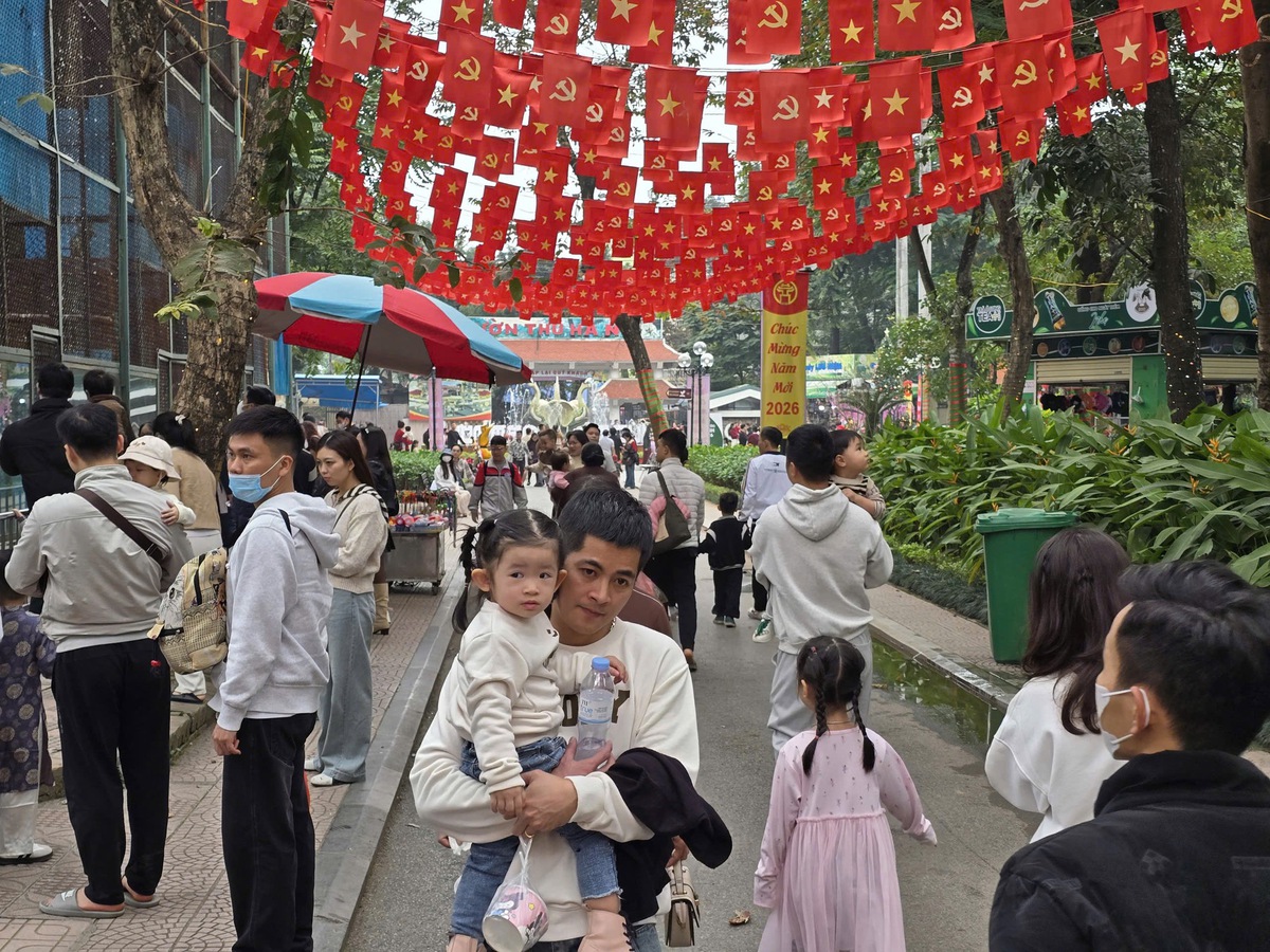 Ngày đầu năm mới, trẻ nhỏ hào hứng cho thú ăn, say mê ngắm voi ở Công viên Thủ Lệ- Ảnh 3. Ngày đầu năm mới, trẻ nhỏ hào hứng cho thú ăn, say mê ngắm voi ở Công viên Thủ Lệ- Ảnh 3.