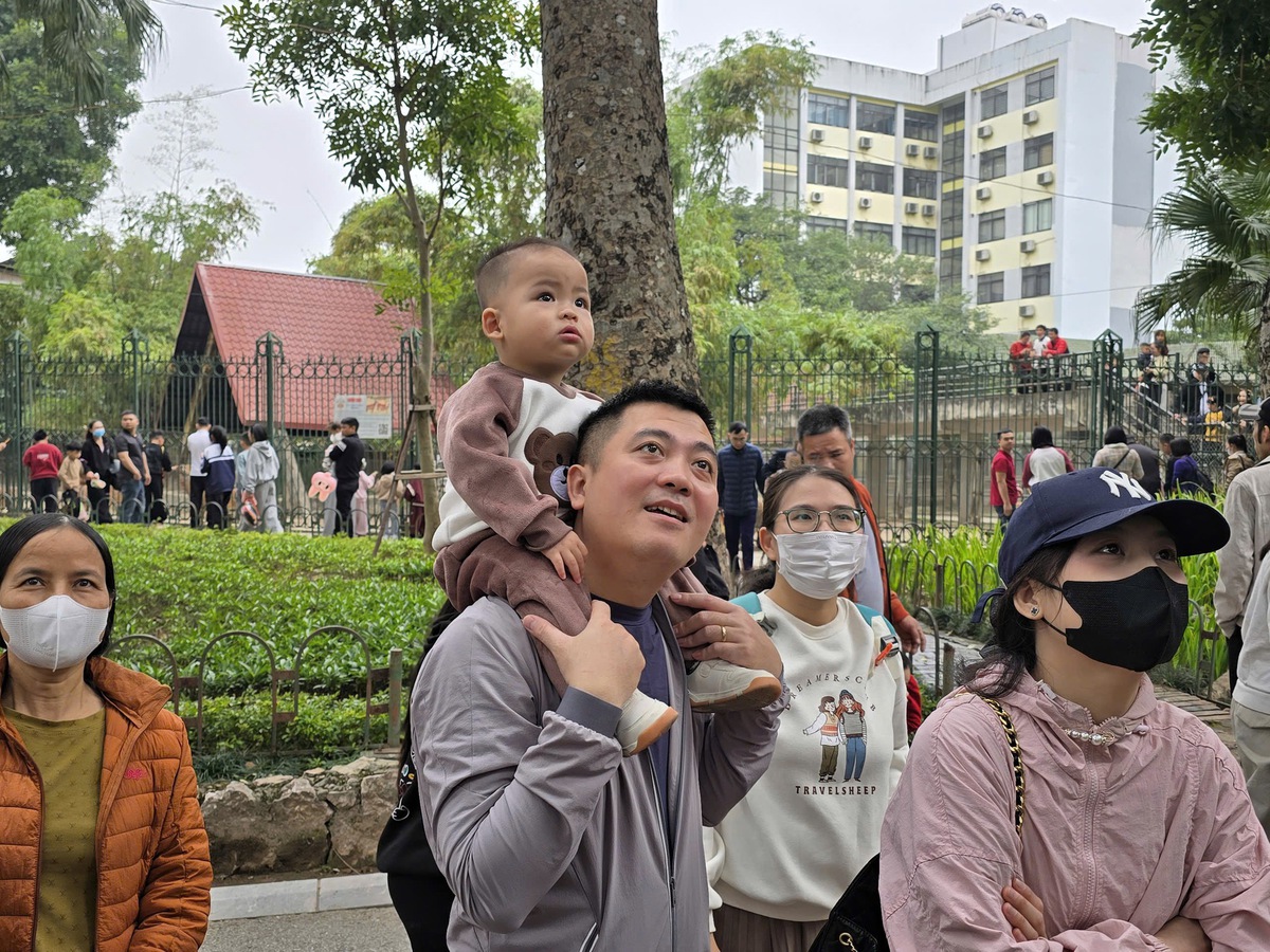 Ngày đầu năm mới, trẻ nhỏ hào hứng cho thú ăn, say mê ngắm voi ở Công viên Thủ Lệ- Ảnh 4. Ngày đầu năm mới, trẻ nhỏ hào hứng cho thú ăn, say mê ngắm voi ở Công viên Thủ Lệ- Ảnh 4.
