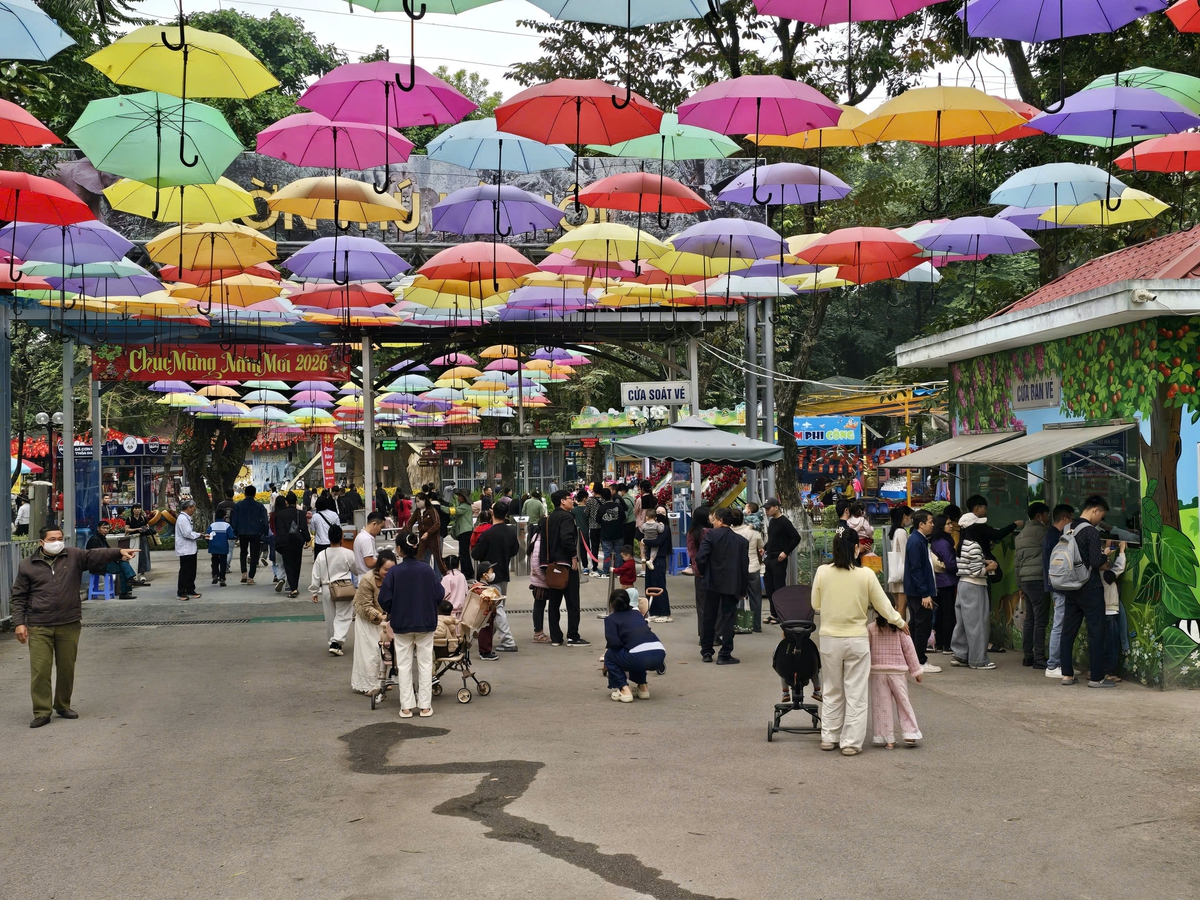 Ngày đầu năm mới, trẻ nhỏ hào hứng cho thú ăn, say mê ngắm voi ở Công viên Thủ Lệ- Ảnh 1. Ngày đầu năm mới, trẻ nhỏ hào hứng cho thú ăn, say mê ngắm voi ở Công viên Thủ Lệ- Ảnh 1.