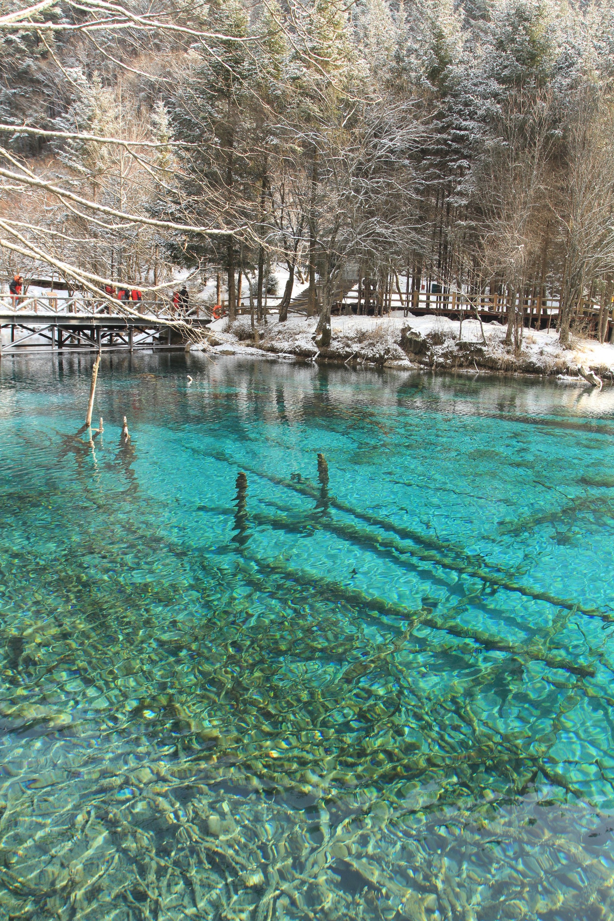 Cảnh sắc siêu thực ở Cửu Trại Câu mùa tuyết trắng- Ảnh 1.