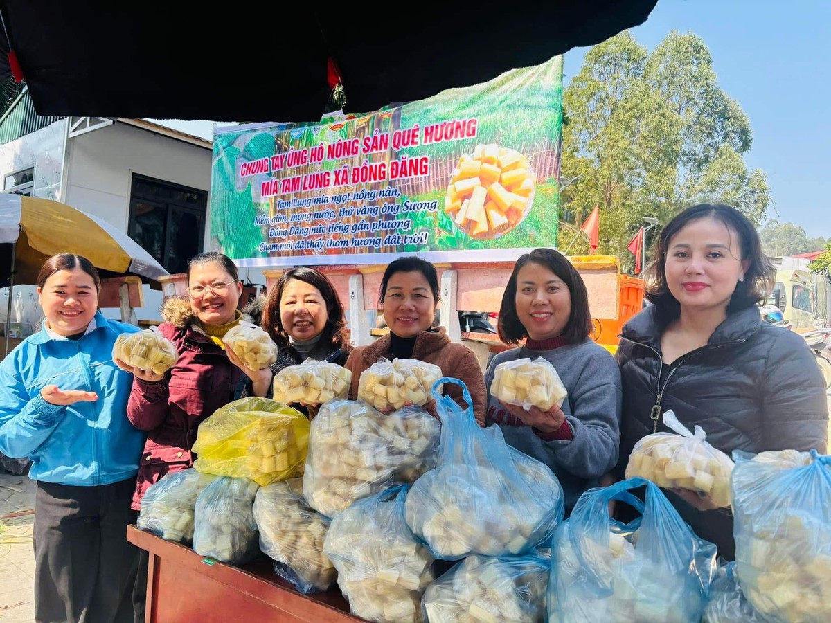 Nhiều hoạt động hỗ trợ an sinh xã hội ở Lạng Sơn dịp cận Tết- Ảnh 7. Nhiều hoạt động hỗ trợ an sinh xã hội ở Lạng Sơn dịp cận Tết- Ảnh 7.