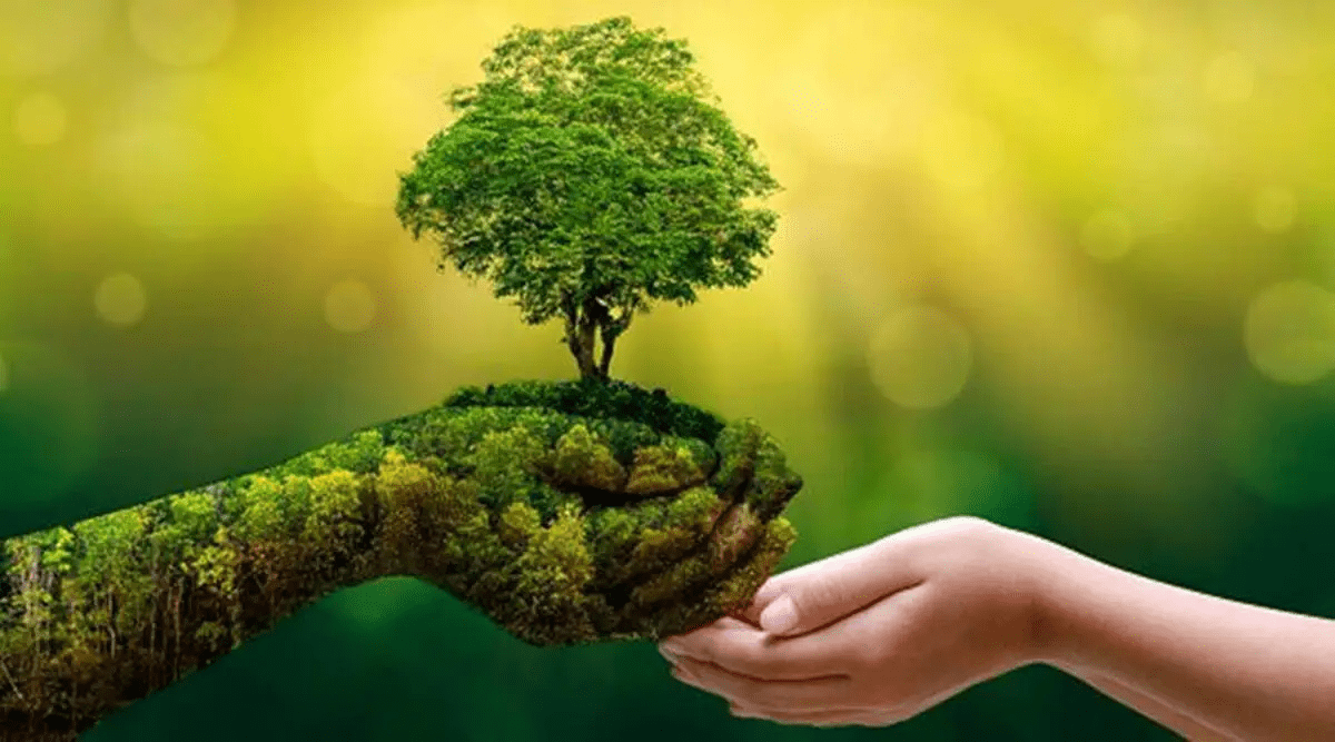 Trung ương Hội LHPN Việt Nam phát động Cuộc thi "Phụ nữ kiến tạo tương lai xanh"- Ảnh 2.