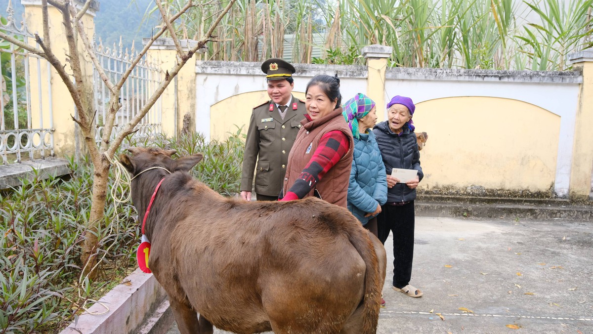 Công an Cao Bằng tổ chức bốc thăm nhận bò giống, hỗ trợ sinh kế gia đình khó khăn- Ảnh 4.