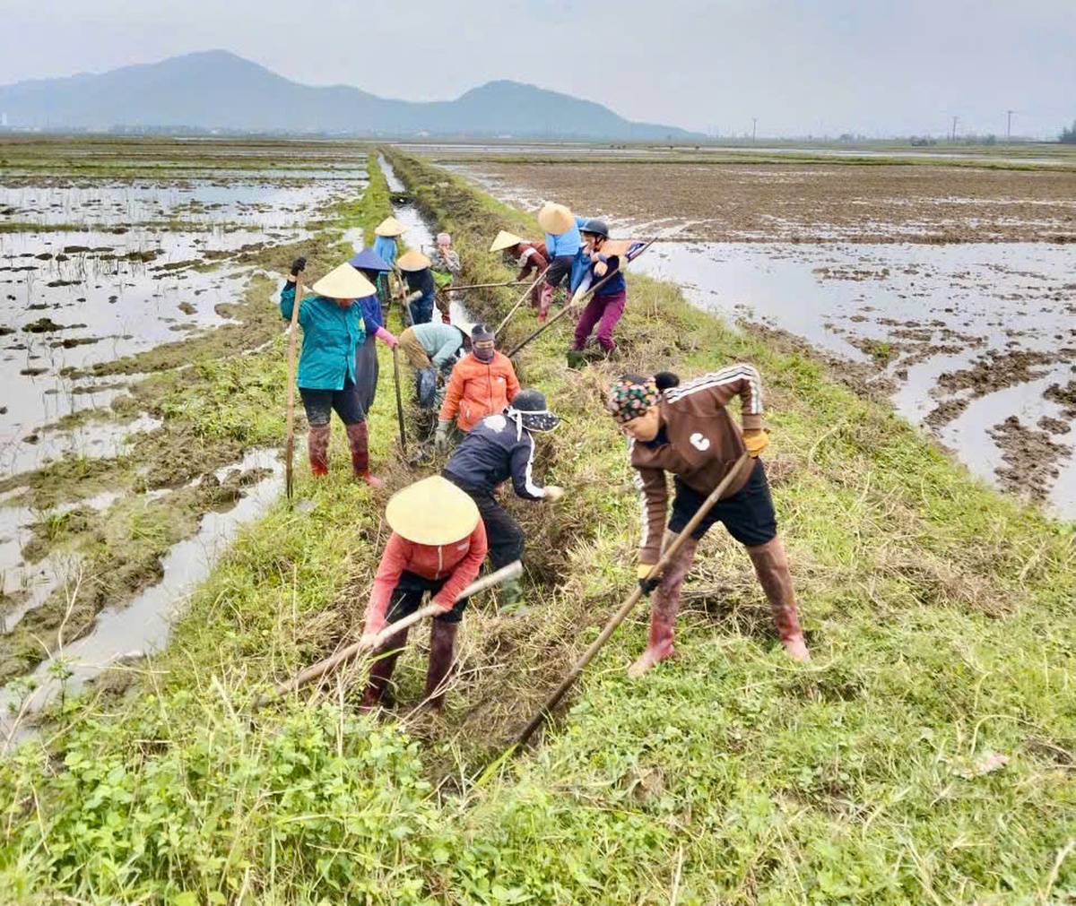 Phụ nữ Hà Tĩnh: Nhiều công trình, phần việc thiết thực chào mừng Đại hội Đảng XIV- Ảnh 2.