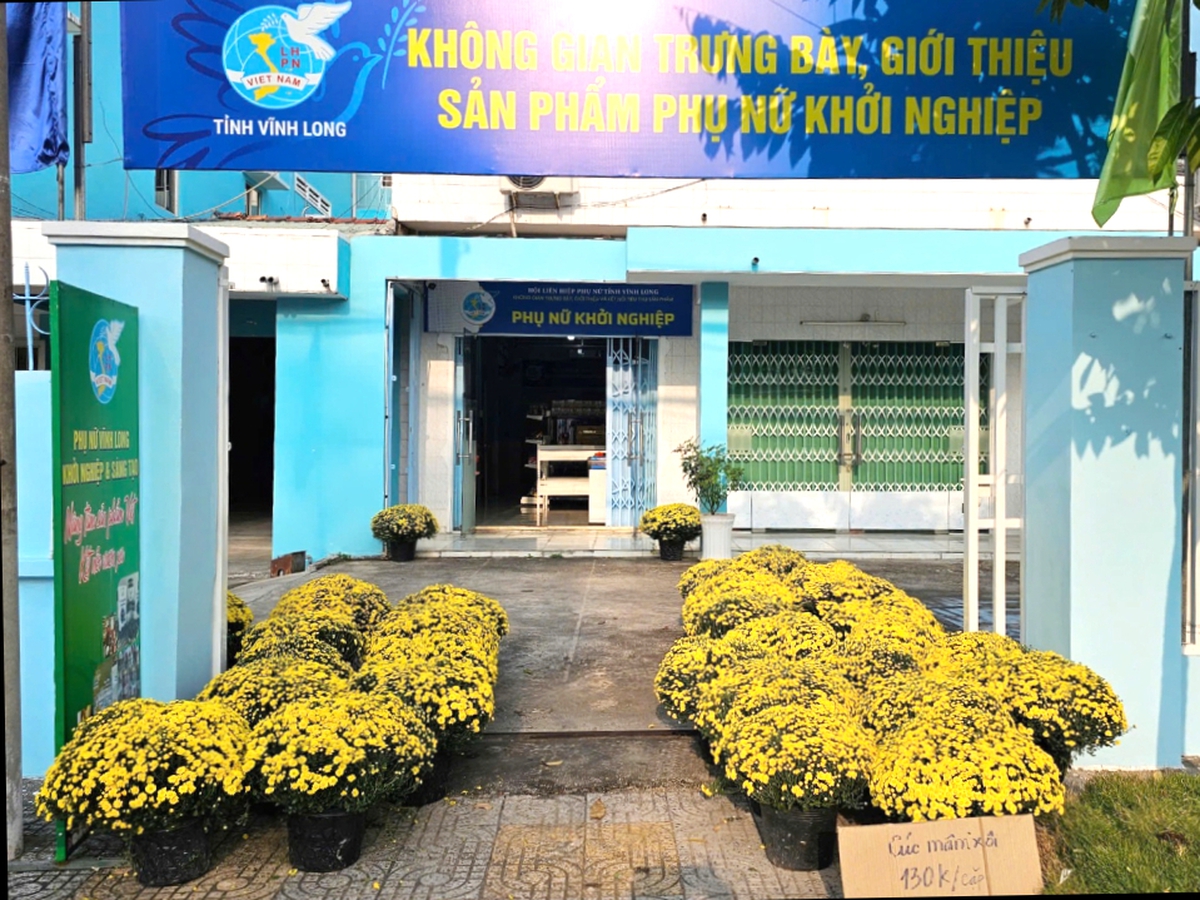 Vĩnh Long: Tiếp sức phụ nữ "giải cứu" hoa cúc mâm xôi nở sớm trước Tết Nguyên đán- Ảnh 2.