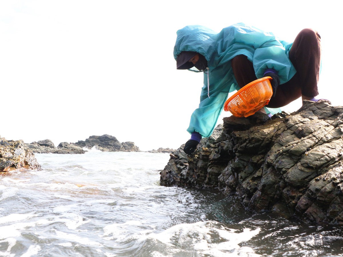 Những phụ nữ "neo mình" bên ghềnh đá mưu sinh- Ảnh 8. Những phụ nữ "neo mình" bên ghềnh đá mưu sinh- Ảnh 8.