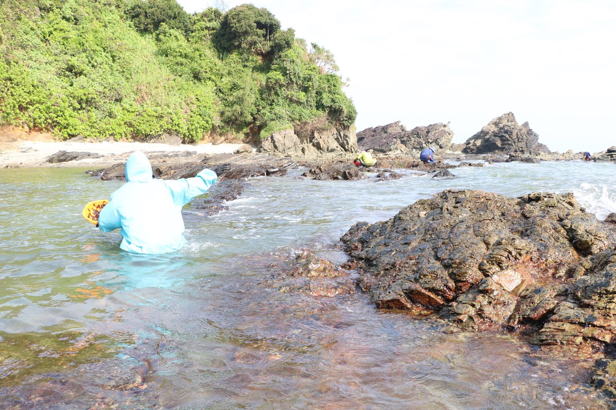 Những phụ nữ "neo mình" bên ghềnh đá mưu sinh- Ảnh 7. Những phụ nữ "neo mình" bên ghềnh đá mưu sinh- Ảnh 7.