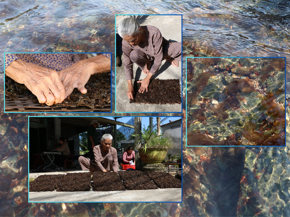 Những phụ nữ "neo mình" bên ghềnh đá mưu sinh- Ảnh 4. Những phụ nữ "neo mình" bên ghềnh đá mưu sinh- Ảnh 4.