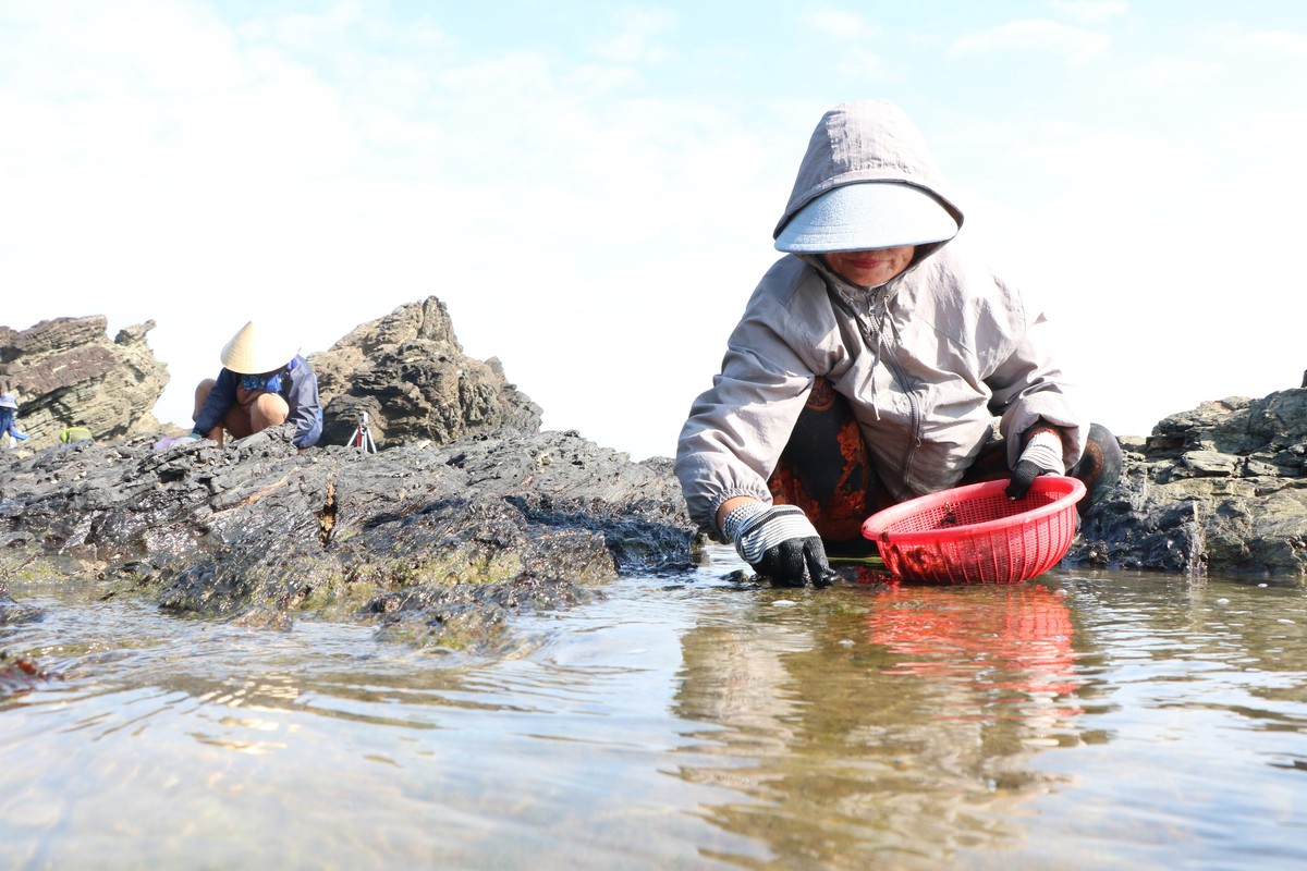 Những phụ nữ "neo mình" bên ghềnh đá mưu sinh- Ảnh 5. Những phụ nữ "neo mình" bên ghềnh đá mưu sinh- Ảnh 5.