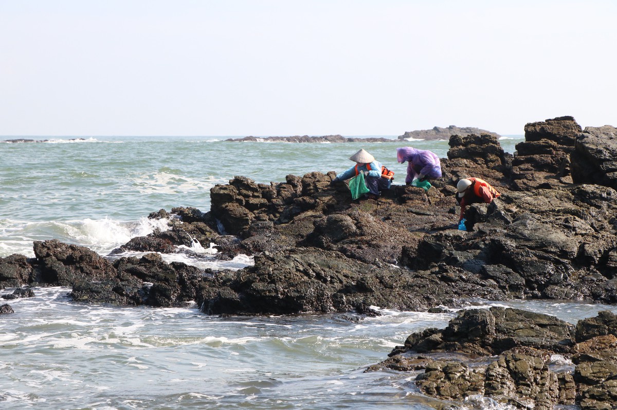 Những phụ nữ "neo mình" bên ghềnh đá mưu sinh- Ảnh 11. Những phụ nữ "neo mình" bên ghềnh đá mưu sinh- Ảnh 11.