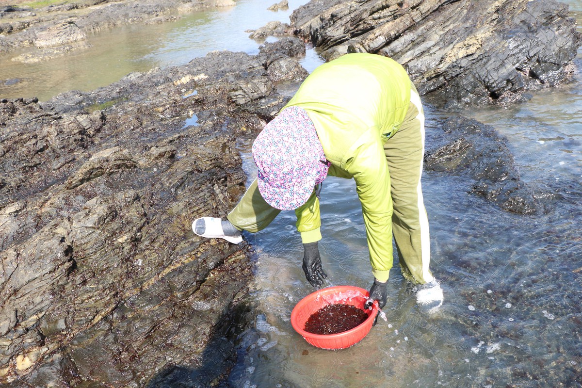 Những phụ nữ "neo mình" bên ghềnh đá mưu sinh- Ảnh 6. Những phụ nữ "neo mình" bên ghềnh đá mưu sinh- Ảnh 6.