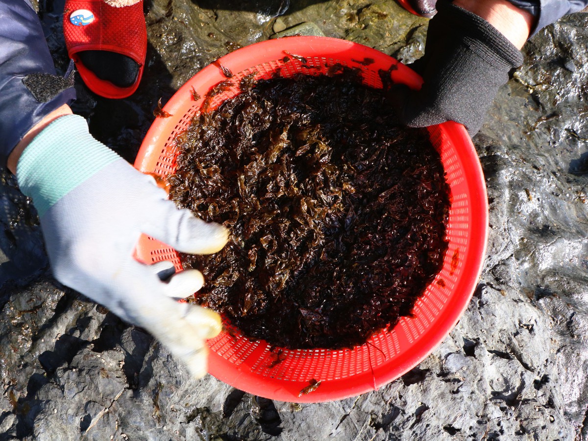 Những phụ nữ "neo mình" bên ghềnh đá mưu sinh- Ảnh 2. Những phụ nữ "neo mình" bên ghềnh đá mưu sinh- Ảnh 2.