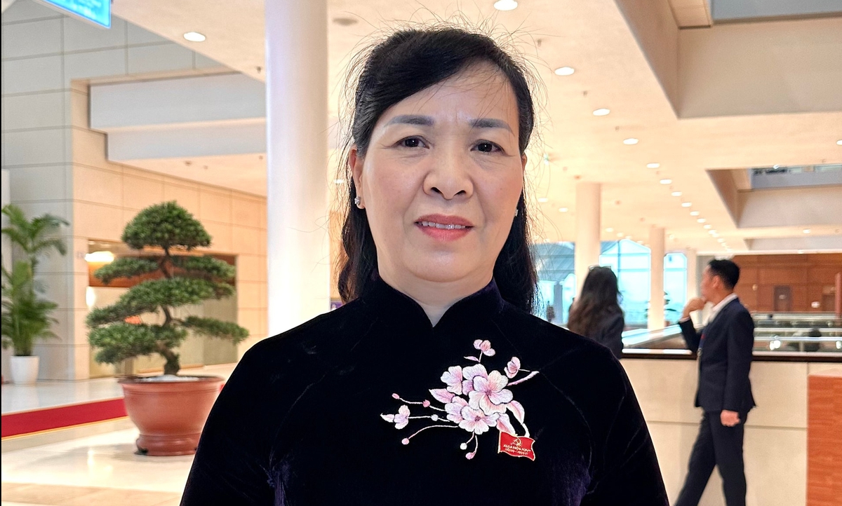 Mong các quyết sách chiến lược nhằm tạo động lực phát triển đột phá cho đất nước- Ảnh 2.