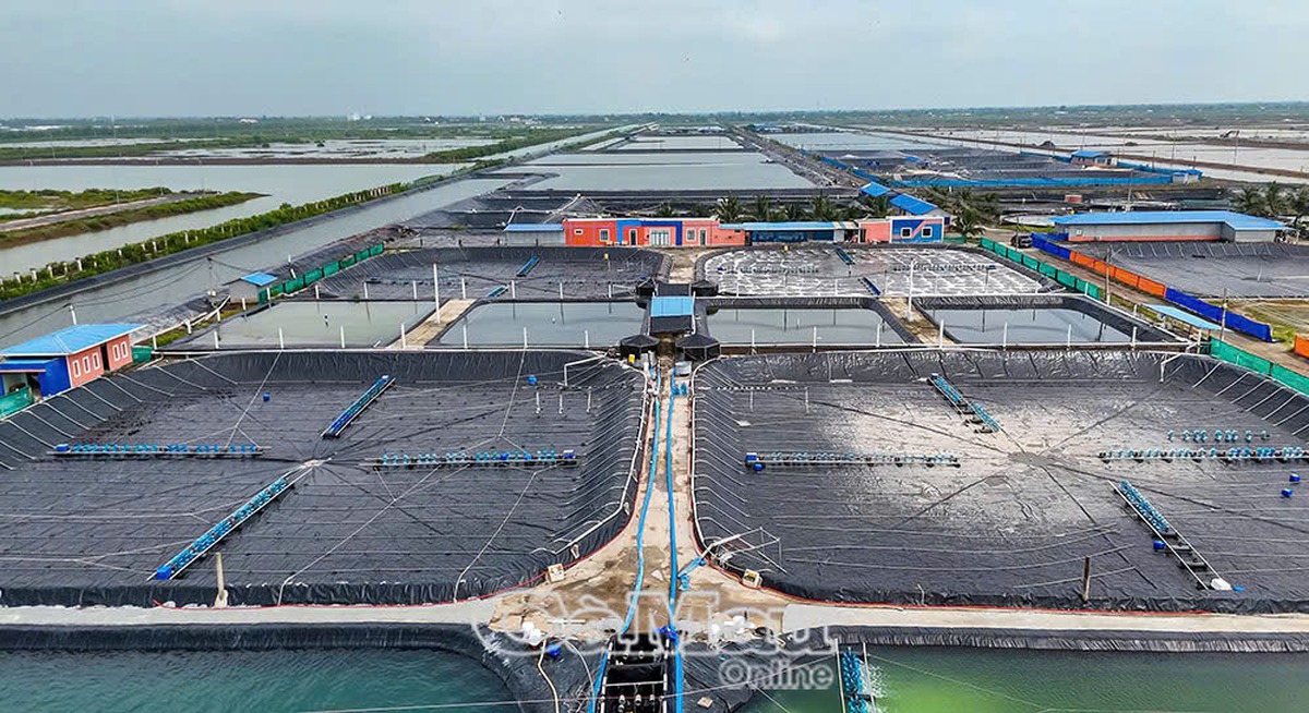 Huy động nguồn lực, khai thác lợi thế đưa Cà Mau phát triển nhanh, bền vững trong kỷ nguyên mới- Ảnh 3.