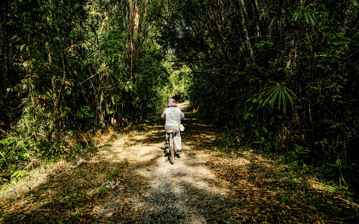 Du lịch chăm sóc sức khỏe toàn diện: Phát huy lợi thế của Việt Nam- Ảnh 2.