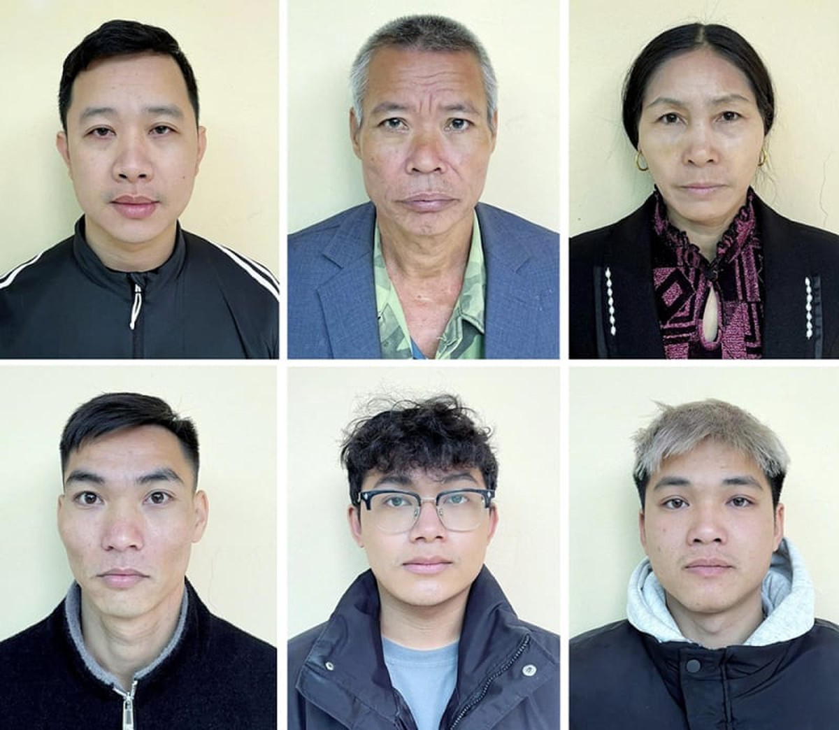 Khởi tố 6 đối tượng trong đường dây "phù phép" lợn chết, lợn dịch để bán ra thị trường- Ảnh 1.