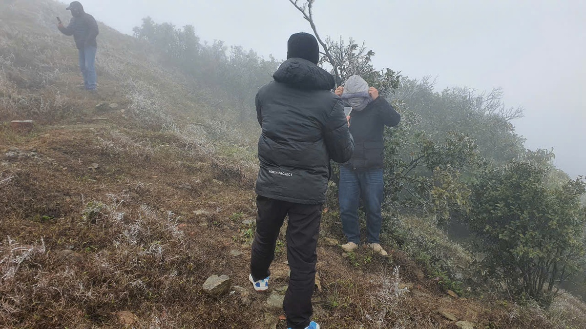 Băng giá, sương muối trắng rừng Mẫu Sơn- Ảnh 4.