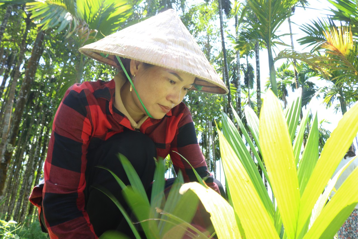 "Dân vận khéo" ở Thạnh Bình: Khi phụ nữ gìn giữ nếp nhà, mở lối sinh kế- Ảnh 16.