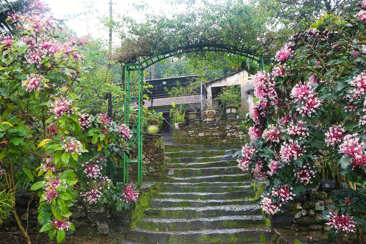 "Dân vận khéo" ở Thạnh Bình: Khi phụ nữ gìn giữ nếp nhà, mở lối sinh kế- Ảnh 3.