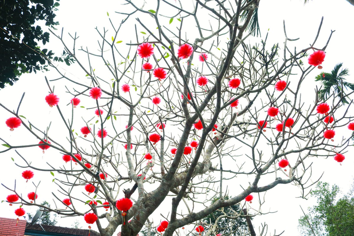 "Dân vận khéo" ở Thạnh Bình: Khi phụ nữ gìn giữ nếp nhà, mở lối sinh kế- Ảnh 17.