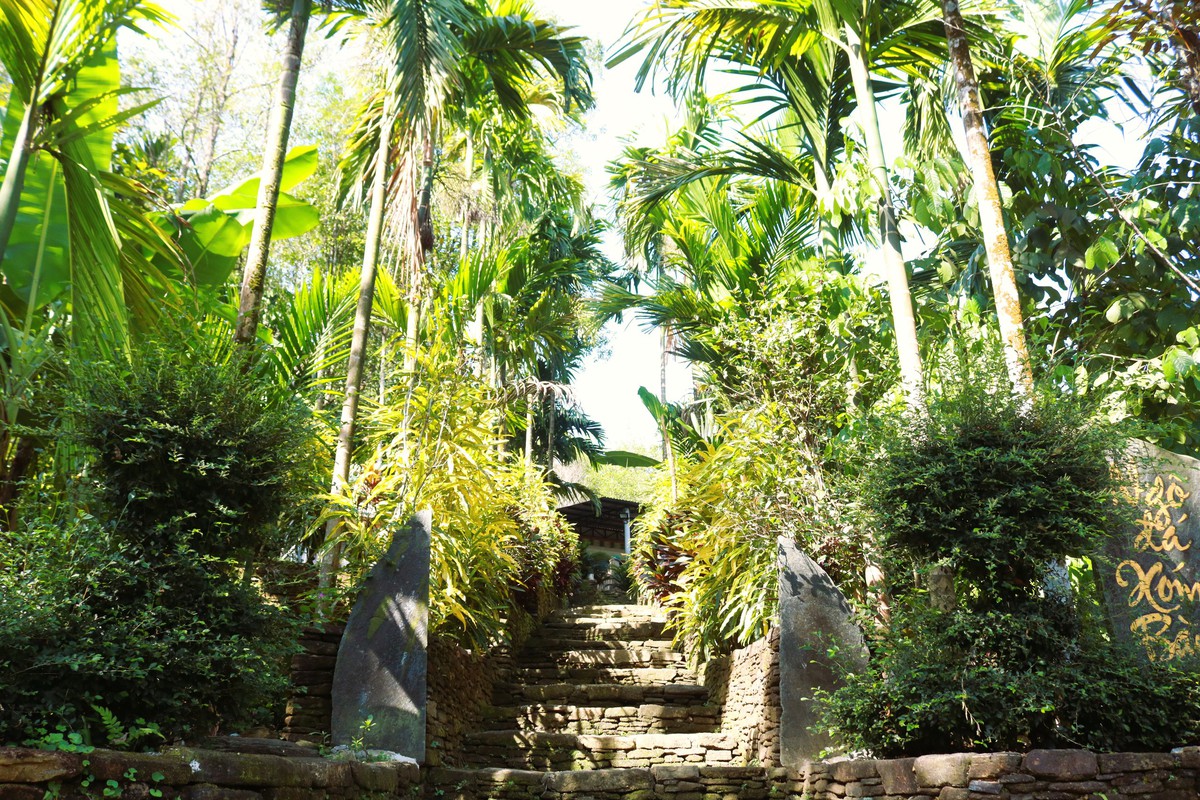 "Dân vận khéo" ở Thạnh Bình: Khi phụ nữ gìn giữ nếp nhà, mở lối sinh kế- Ảnh 2.