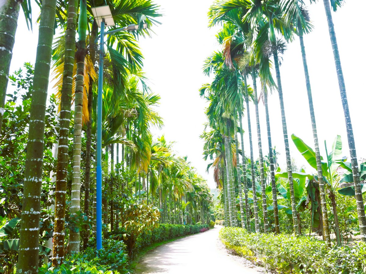 "Dân vận khéo" ở Thạnh Bình: Khi phụ nữ gìn giữ nếp nhà, mở lối sinh kế- Ảnh 13.