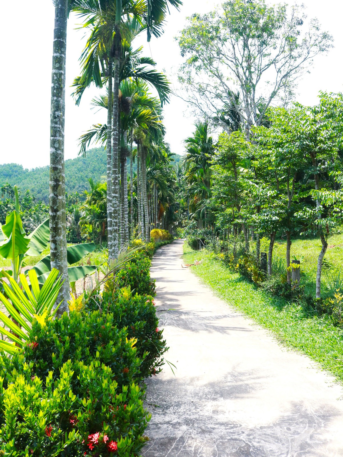 "Dân vận khéo" ở Thạnh Bình: Khi phụ nữ gìn giữ nếp nhà, mở lối sinh kế- Ảnh 10.