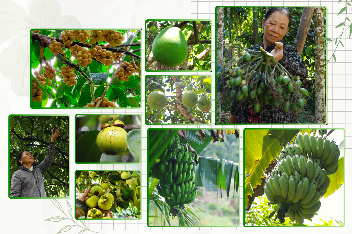 "Dân vận khéo" ở Thạnh Bình: Khi phụ nữ gìn giữ nếp nhà, mở lối sinh kế- Ảnh 14.