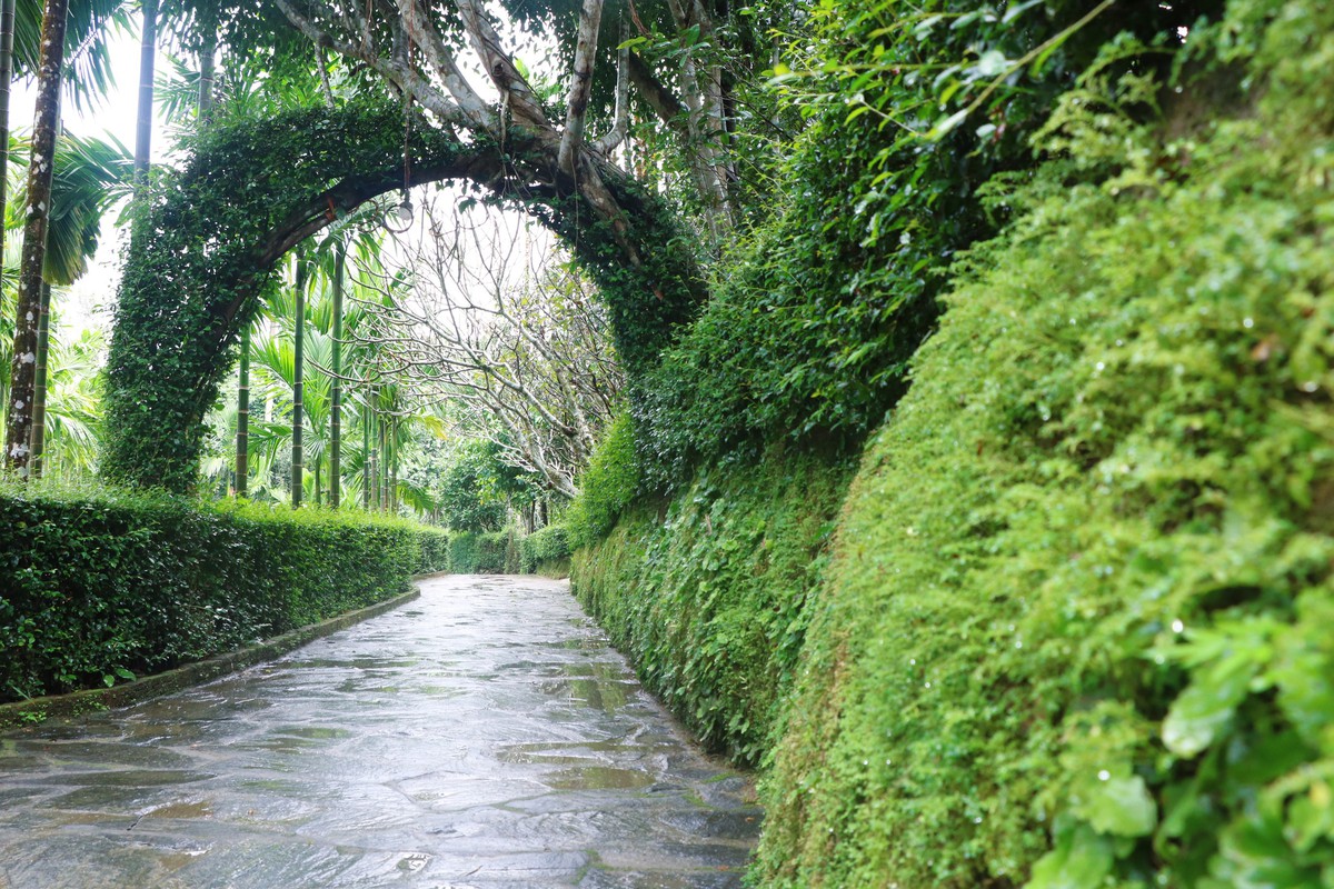 "Dân vận khéo" ở Thạnh Bình: Khi phụ nữ gìn giữ nếp nhà, mở lối sinh kế- Ảnh 11.