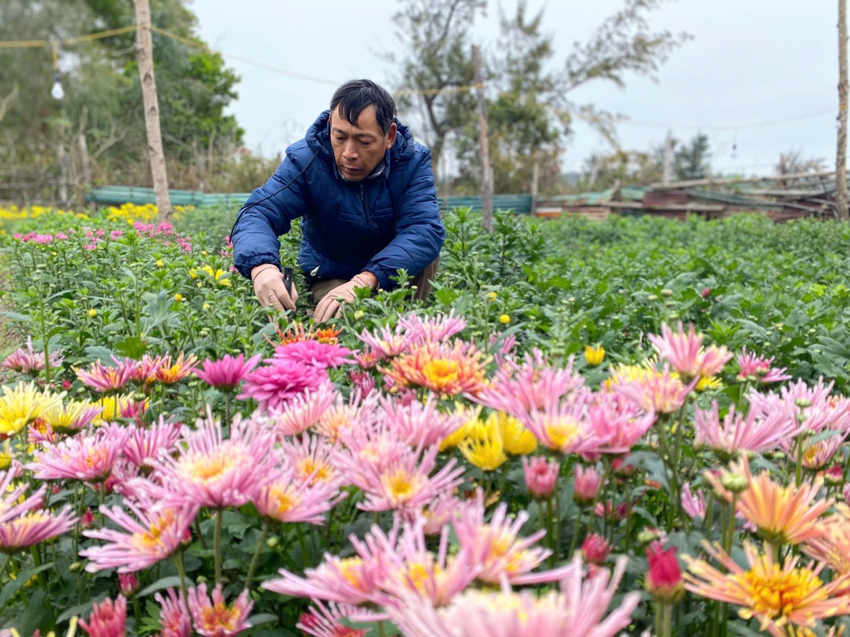 Cùng hội viên, phụ nữ phát triển kinh tế gắn với sản xuất phục vụ Tết - Ảnh 4. Cùng hội viên, phụ nữ phát triển kinh tế gắn với sản xuất phục vụ Tết - Ảnh 4.