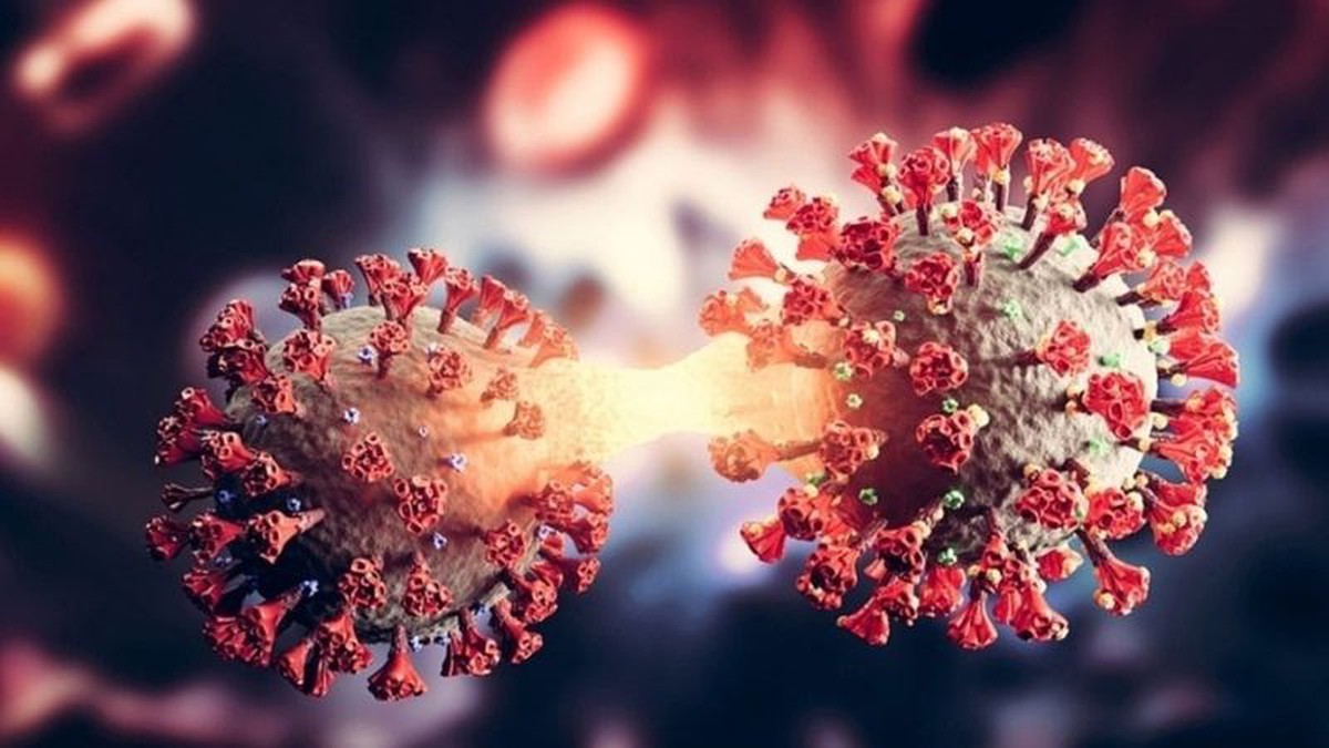 Những cách phòng ngừa bệnh do Virus Nipah gây ra- Ảnh 3.