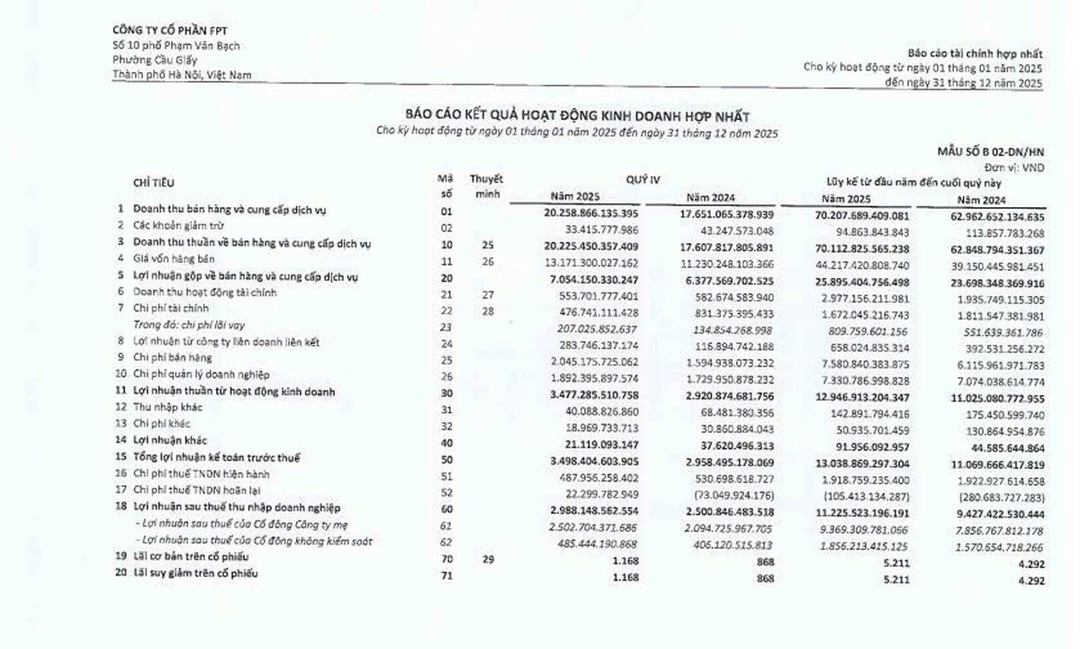 FPT 2025: Tăng trưởng tích cực, nhà đầu tư cần cân nhắc điều gì?- Ảnh 1.