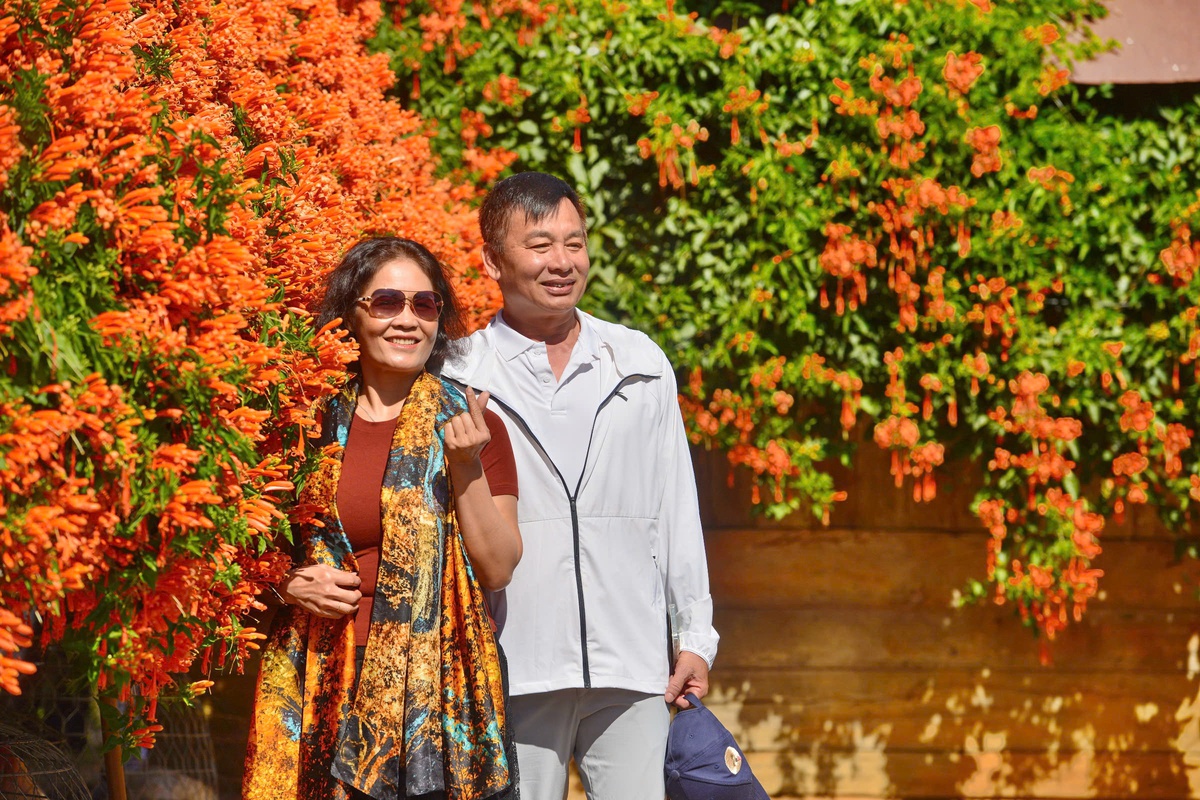 Người đàn ông 42 năm gìn giữ "ngôi nhà hoa xác pháo"- Ảnh 3.