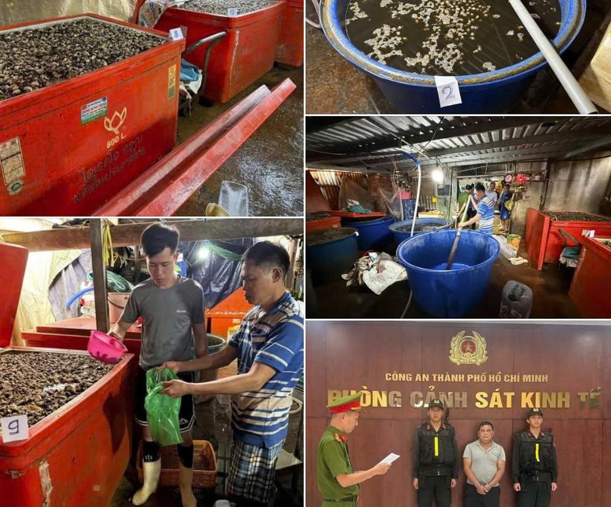 Ốc ngâm hóa chất, thuốc nha khoa chứa thạch tín: Coi thường tính mạng cộng đồng một cách nghiêm trọng- Ảnh 2. Ốc ngâm hóa chất, thuốc nha khoa chứa thạch tín: Coi thường tính mạng cộng đồng một cách nghiêm trọng- Ảnh 2.