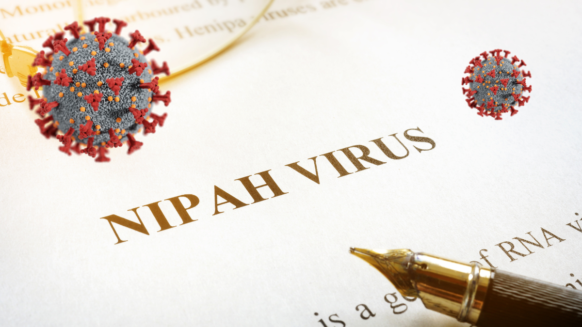 Siết chặt “tuyến phòng thủ” an toàn thực phẩm để ngăn chặn virus Nipah xâm nhập- Ảnh 1.