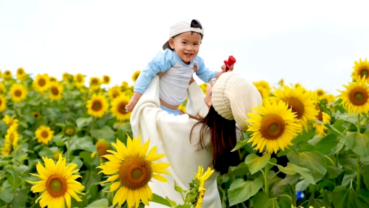 Du khách nô nức check-in đón năm mới ở cánh đồng hoa hướng dương xứ Nghệ- Ảnh 1. Du khách nô nức check-in đón năm mới ở cánh đồng hoa hướng dương xứ Nghệ- Ảnh 1.