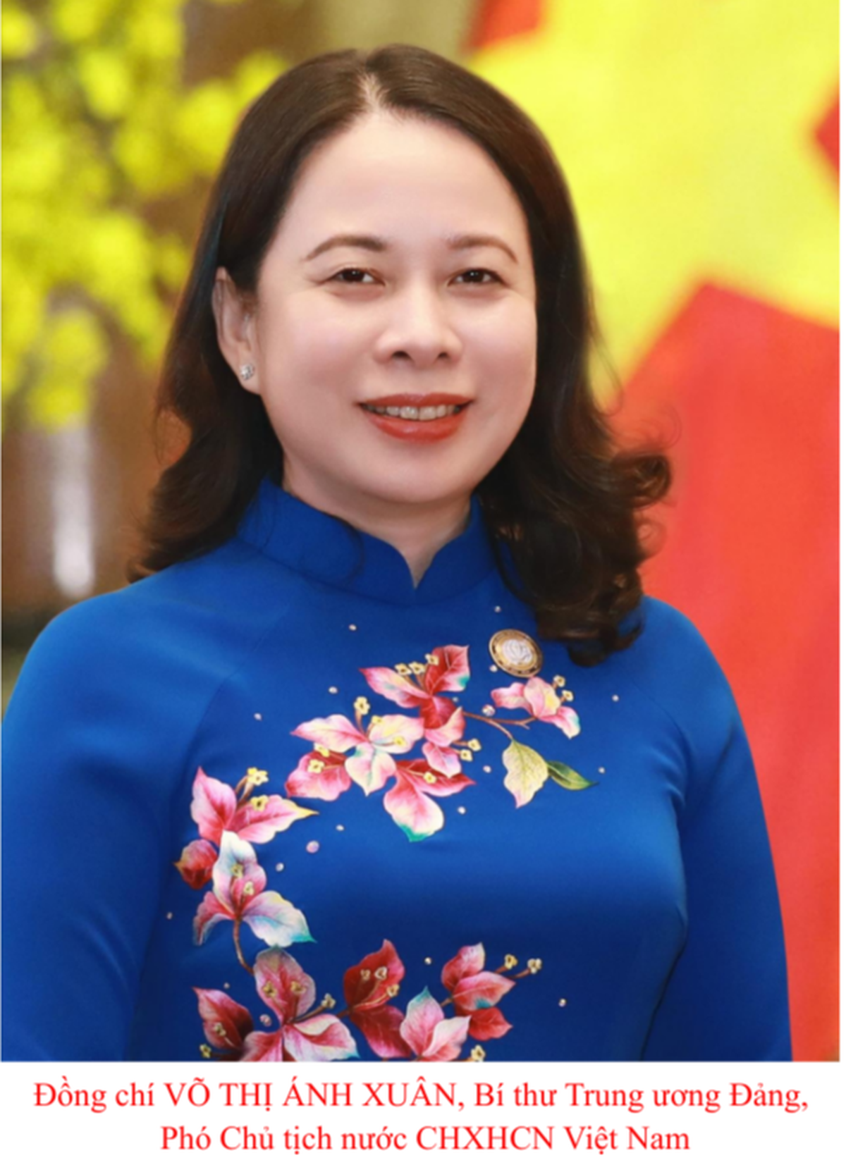 Tiểu sử 3 nữ Bí thư Trung ương Đảng khóa XIV- Ảnh 2.