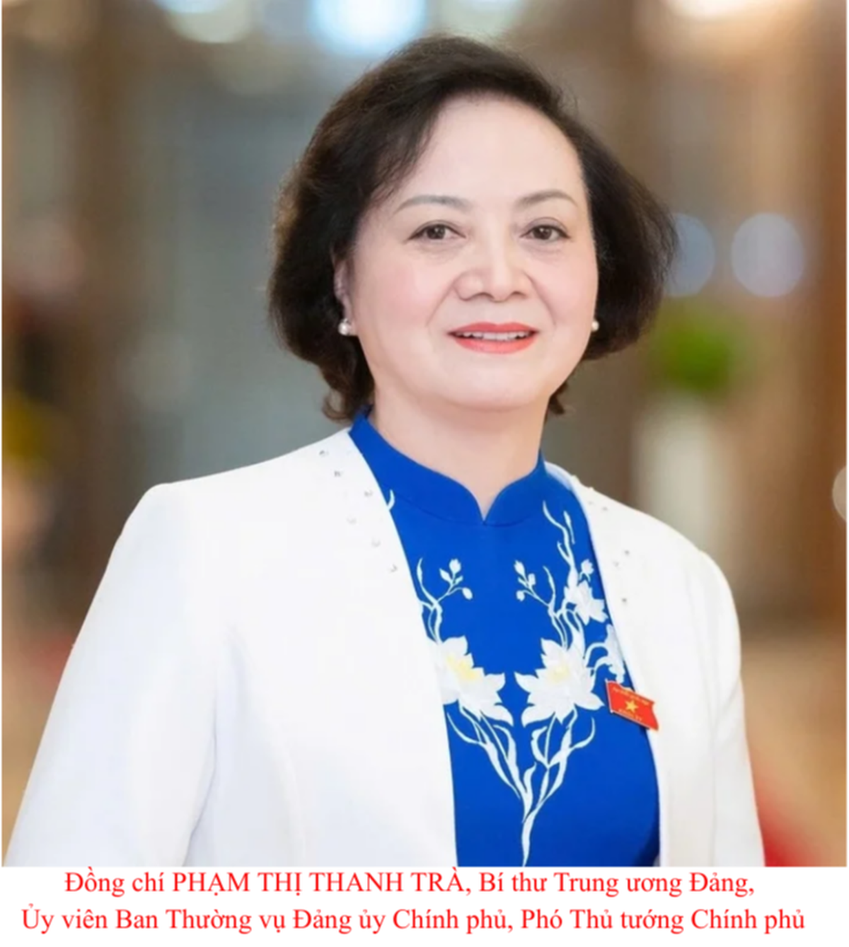 Tiểu sử 3 nữ Bí thư Trung ương Đảng khóa XIV- Ảnh 3.