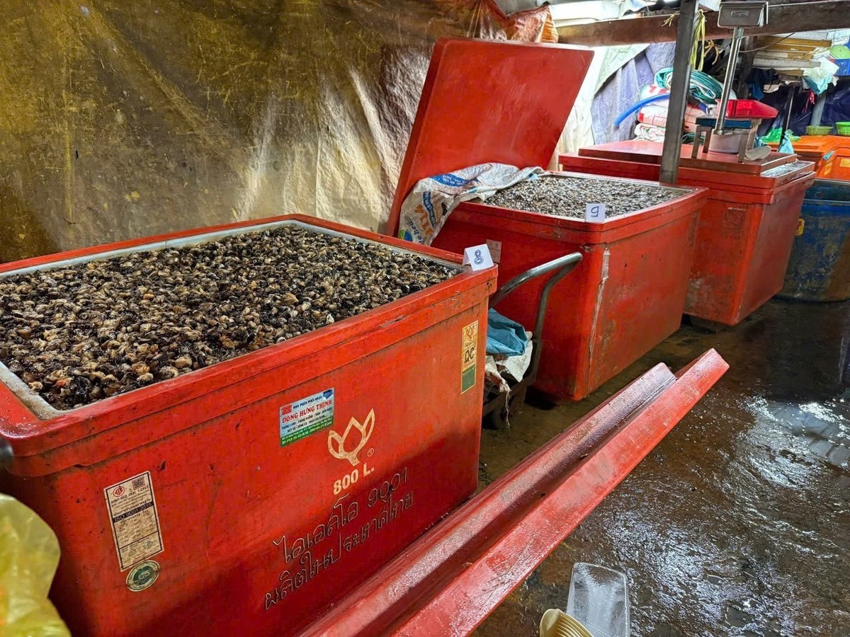 Người tiêu dùng đang đánh cược sức khỏe vào các sản phẩm không rõ nguồn gốc- Ảnh 2.