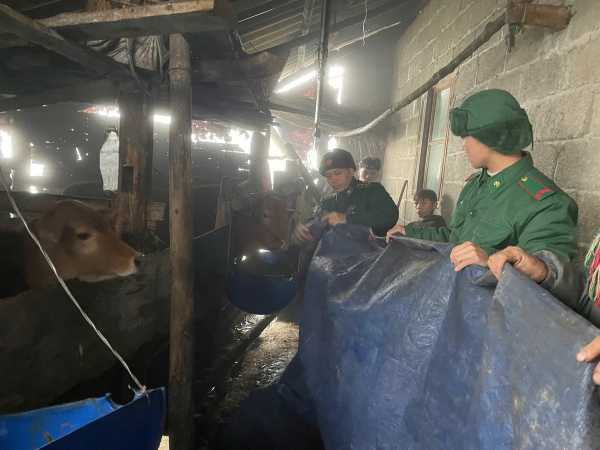 Điểm tựa vững chắc của người dân biên giới Tuyên Quang giữa mùa đông lạnh giá- Ảnh 1.
