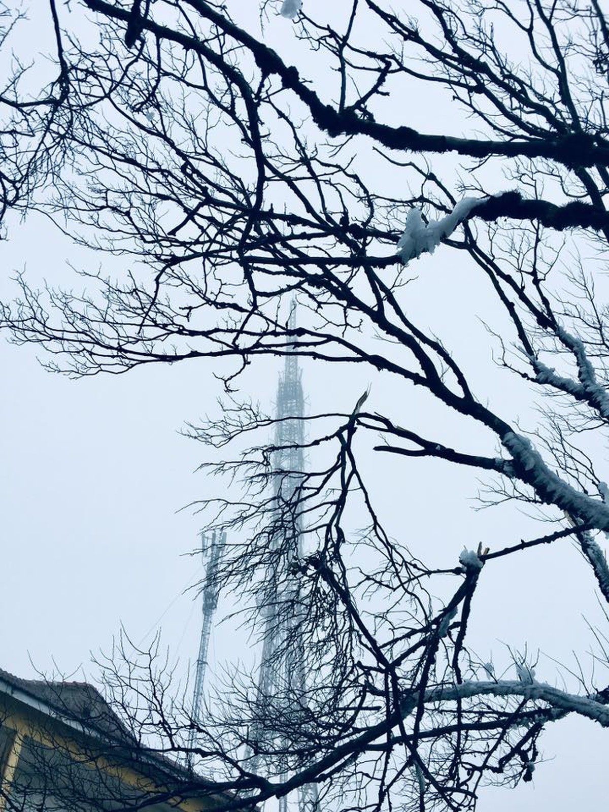 Cao Bằng: Băng giá phủ trắng trên đỉnh Phja Oắc- Ảnh 3. Cao Bằng: Băng giá phủ trắng trên đỉnh Phja Oắc- Ảnh 3.