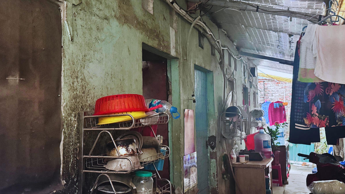 Những cánh tay biến dạng giữa mùa đông Hà Nội- Ảnh 2.