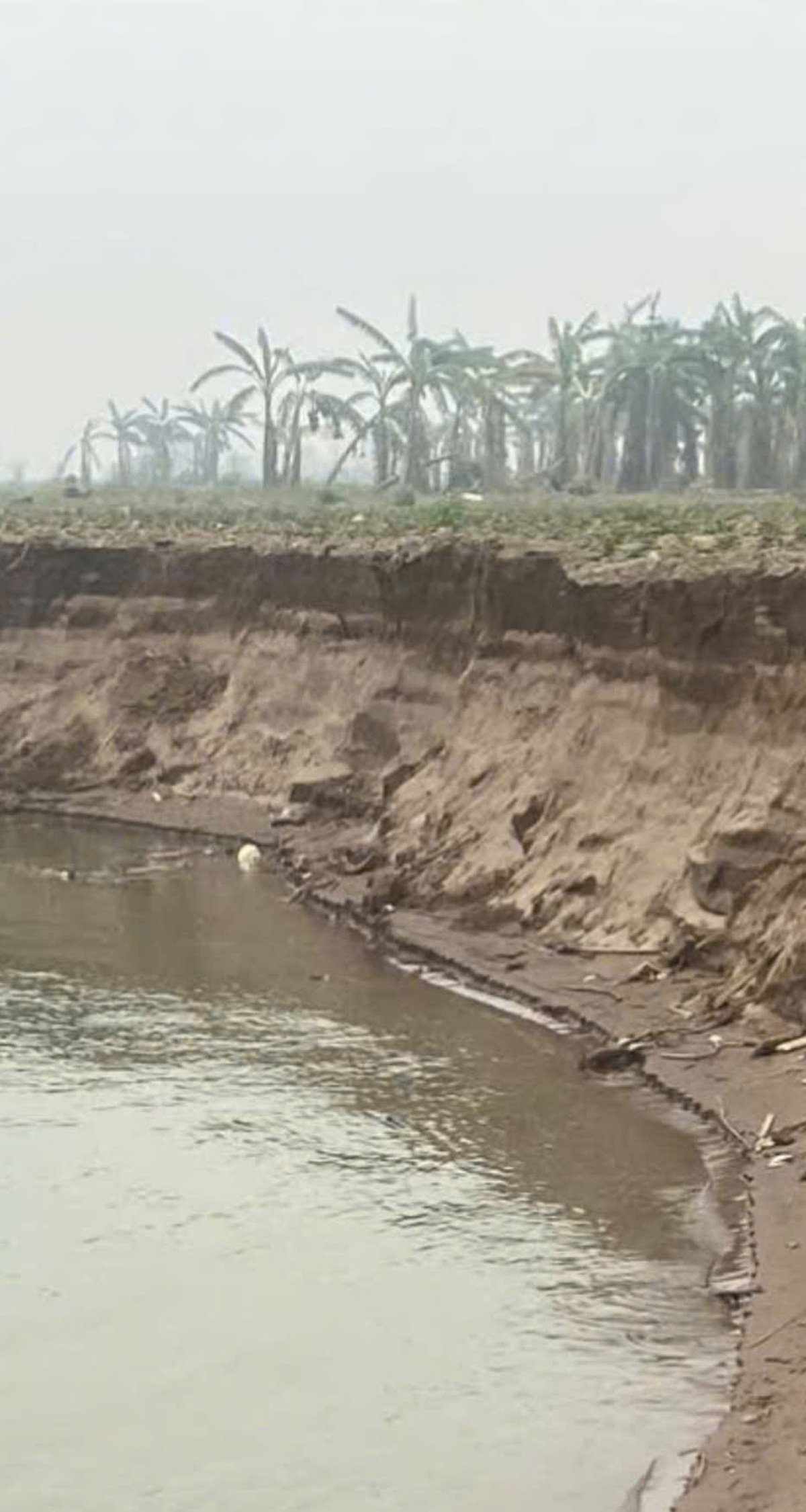 Vụ sạt lở đất canh tác nghi do khai thác cát ở Hưng Yên: Người dân chưa đồng tình với báo cáo- Ảnh 2. Vụ sạt lở đất canh tác nghi do khai thác cát ở Hưng Yên: Người dân chưa đồng tình với báo cáo- Ảnh 2.